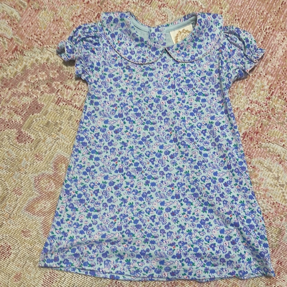 TBBC Peter Pan Collar Dress